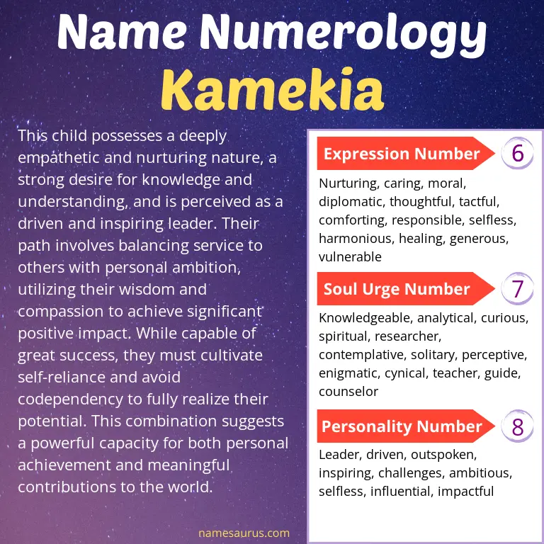 numerology of the name kamekia.
