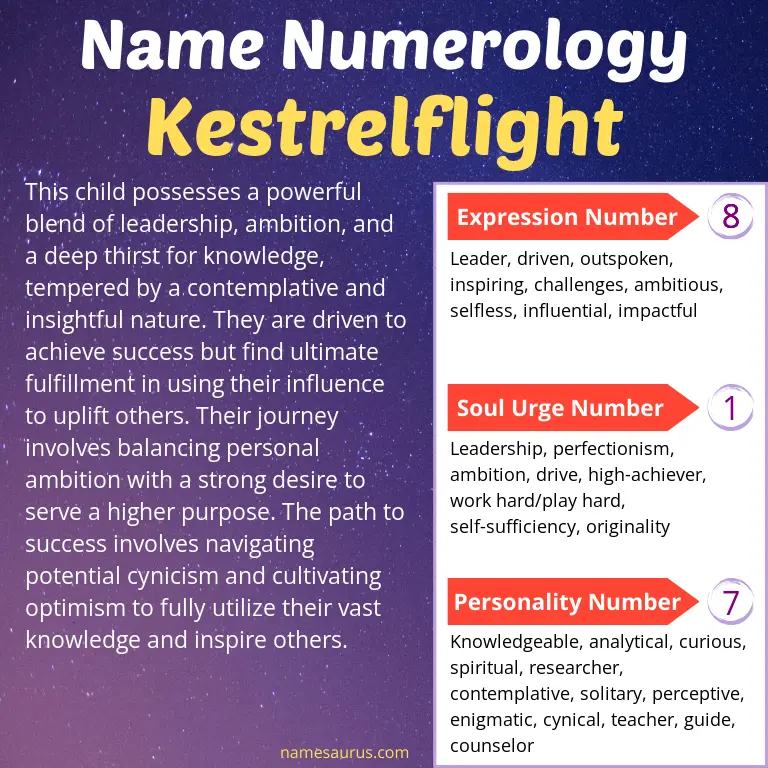 numerology of the name kestrelflight.