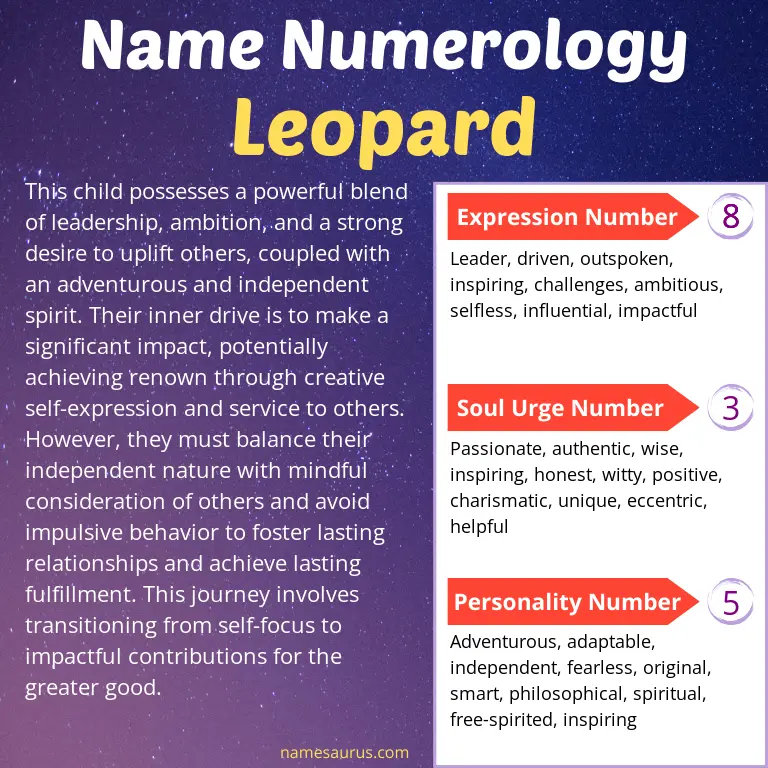 numerology of the name leopard.