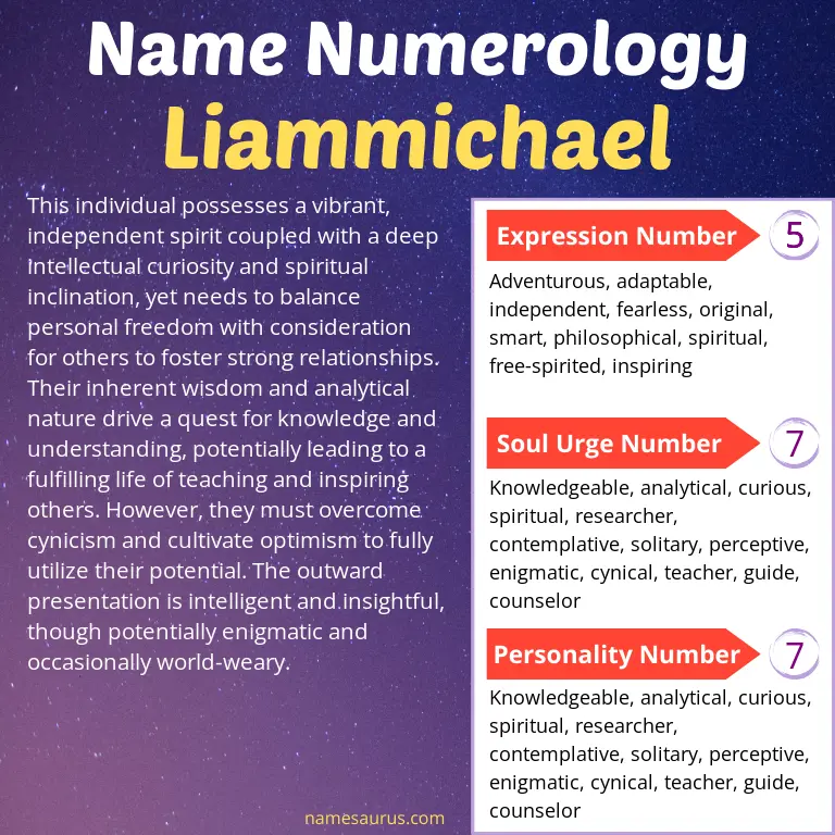 numerology of the name liammichael.
