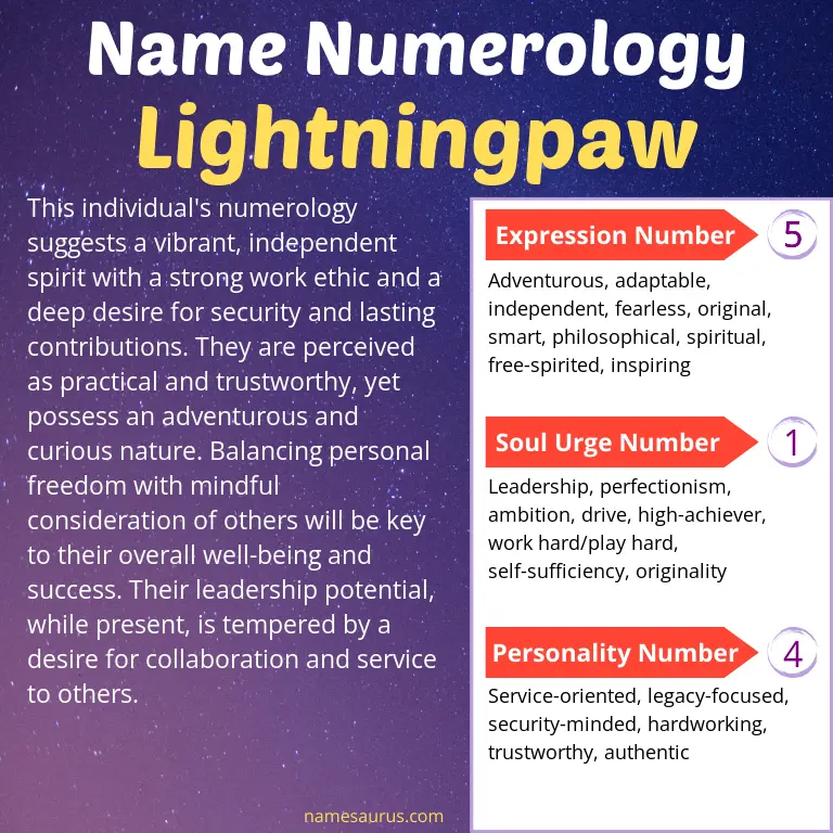 numerology of the name lightningpaw.