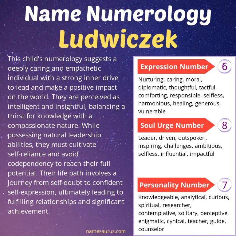 numerology of the name ludwiczek.