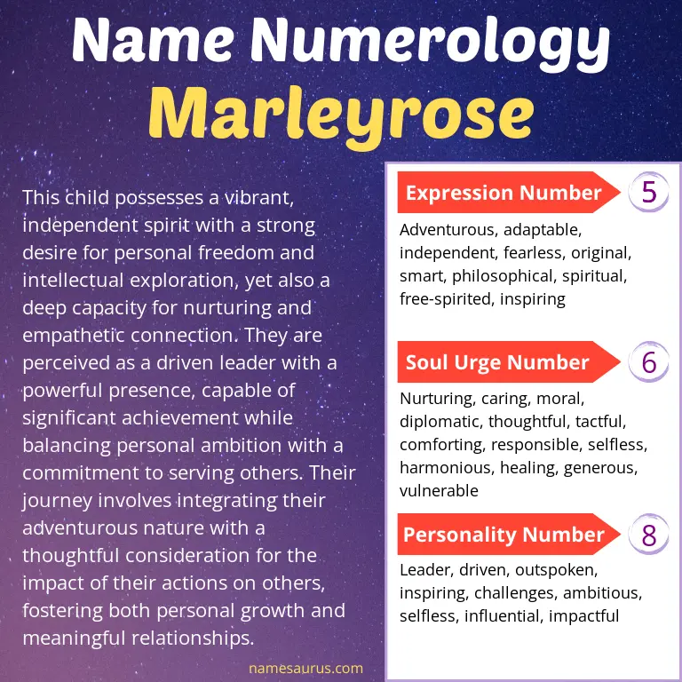 numerology of the name marleyrose.