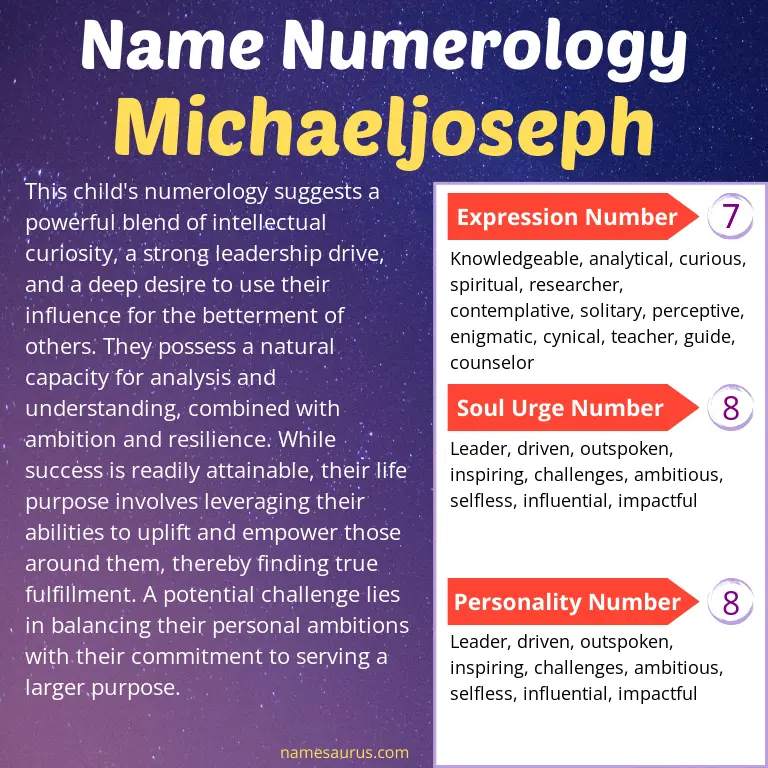 numerology of the name michaeljoseph.