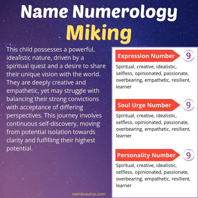 numerology of the name miking.