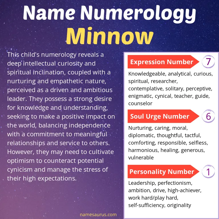 numerology of the name minnow.