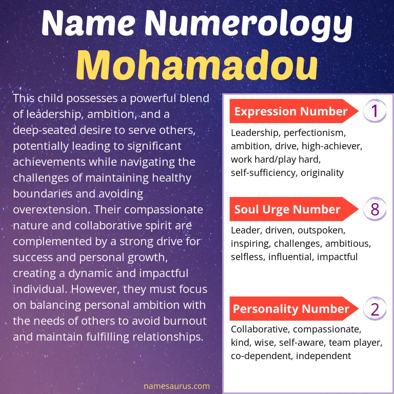 numerology of the name mohamadou.