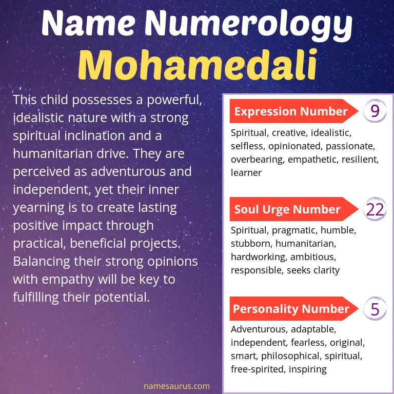 numerology of the name mohamedali.