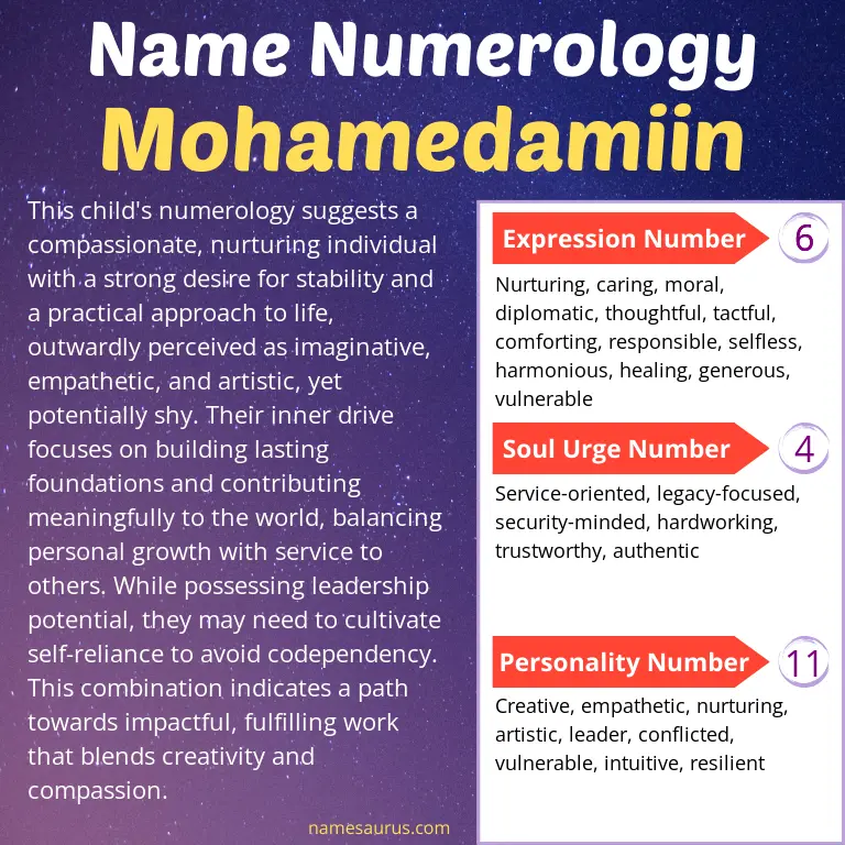 numerology of the name mohamedamiin.