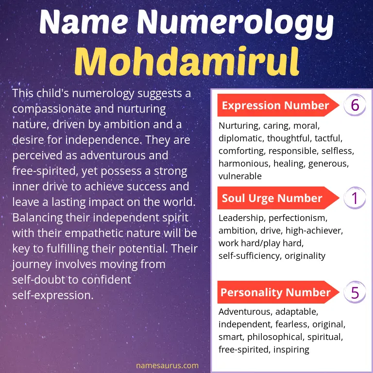 numerology of the name mohdamirul.