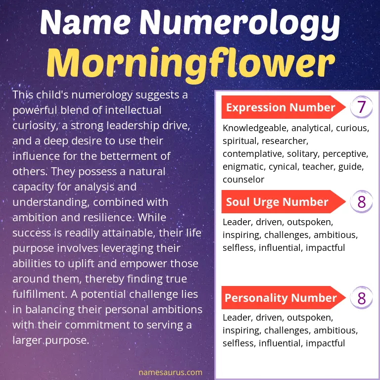 numerology of the name morningflower.