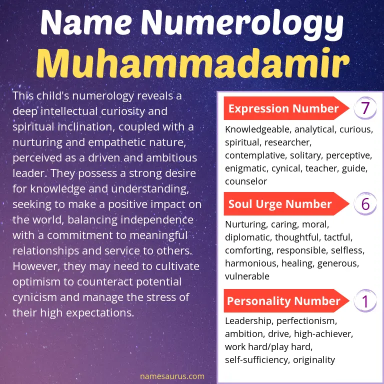 numerology of the name muhammadamir.