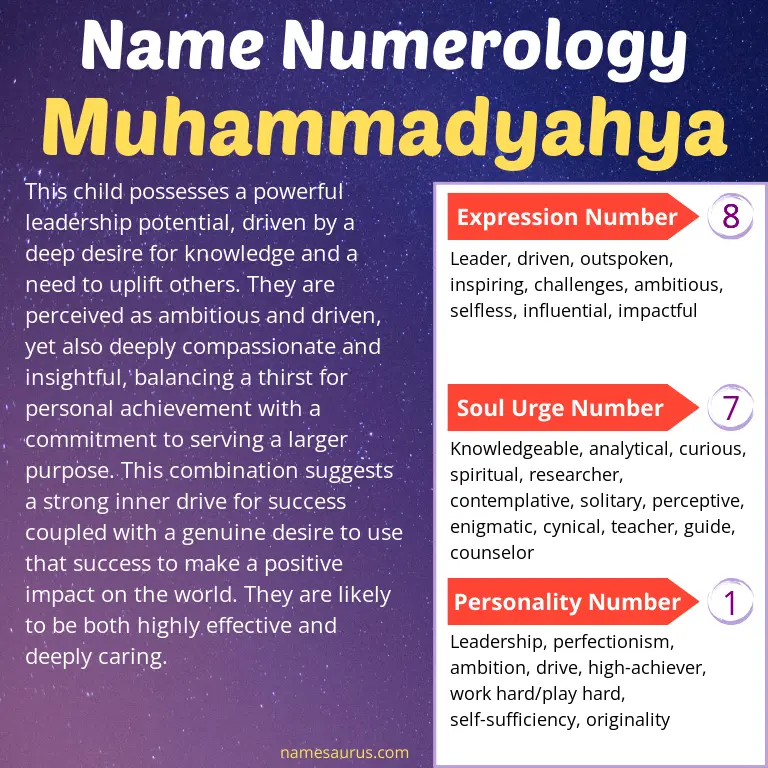 numerology of the name muhammadyahya.