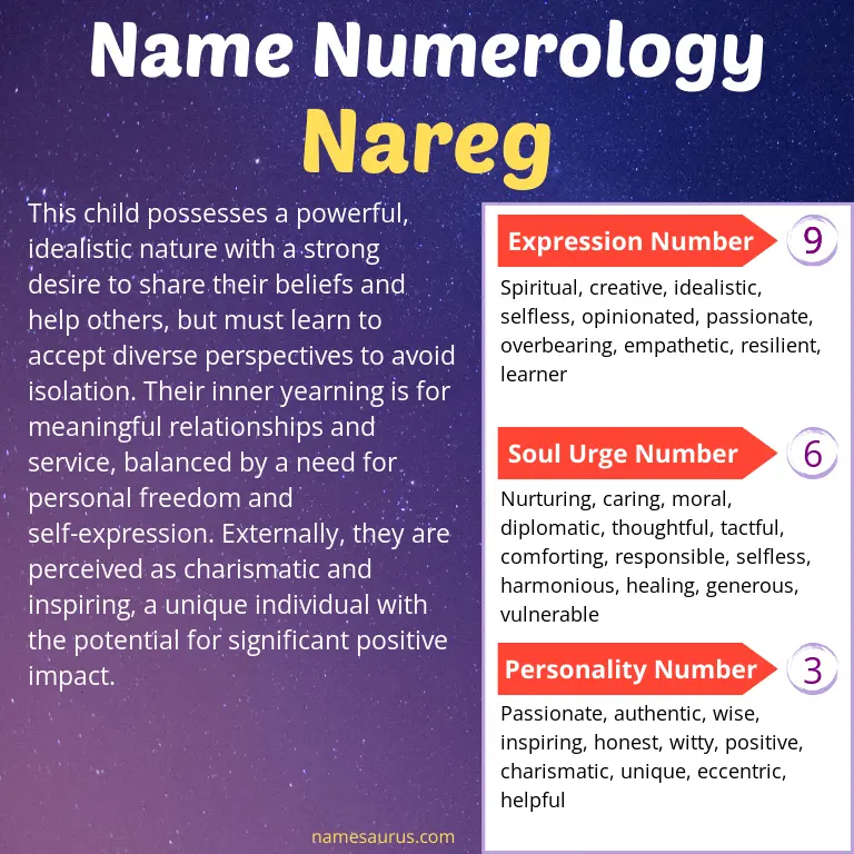 numerology of the name nareg.