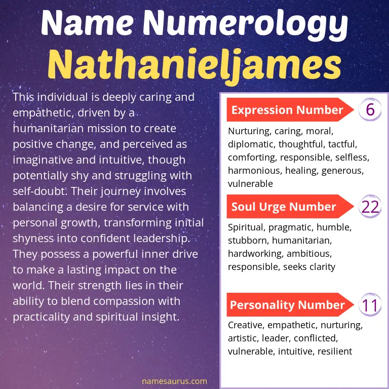 numerology of the name nathanieljames.