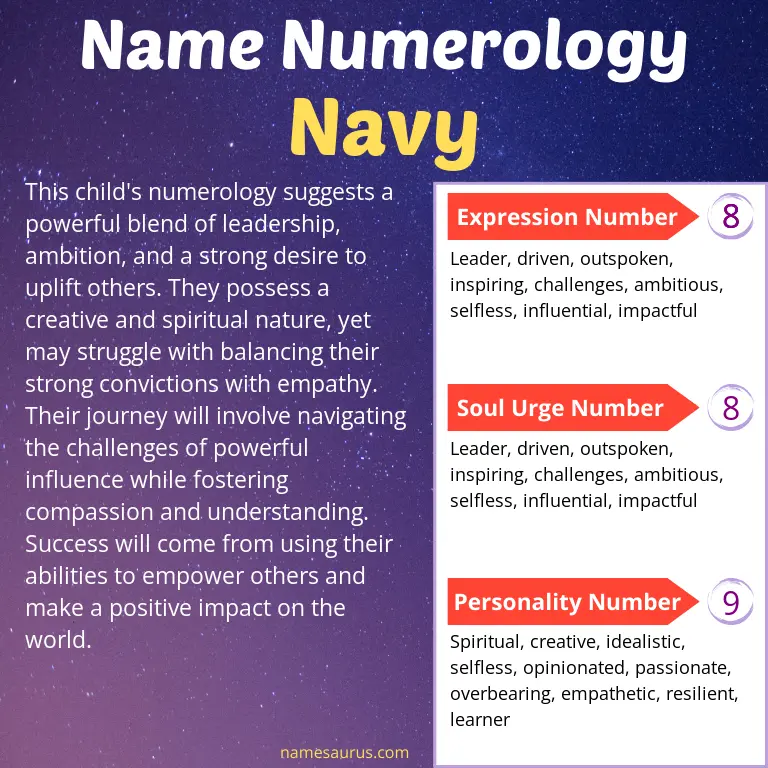 numerology of the name navy.