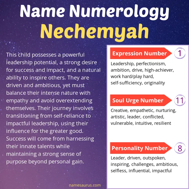 numerology of the name nechemyah.