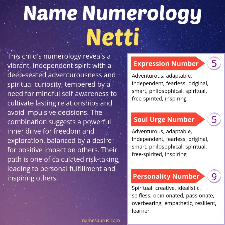 numerology of the name netti.
