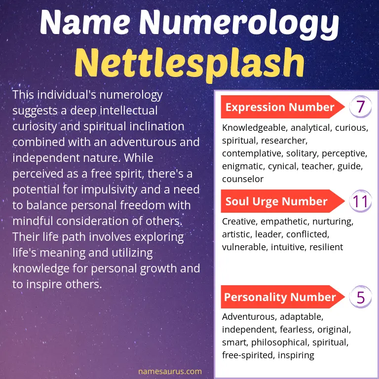 numerology of the name nettlesplash.