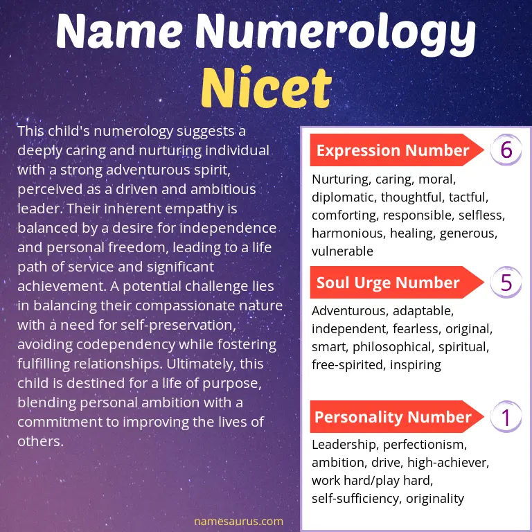 numerology of the name nicet.