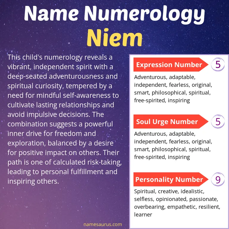 numerology of the name niem.