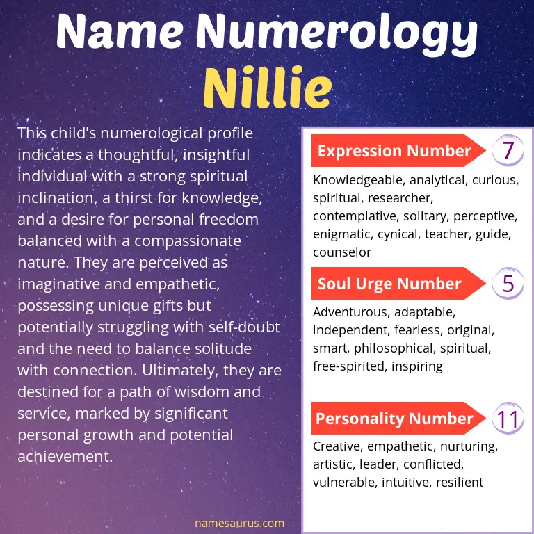 numerology of the name nillie.