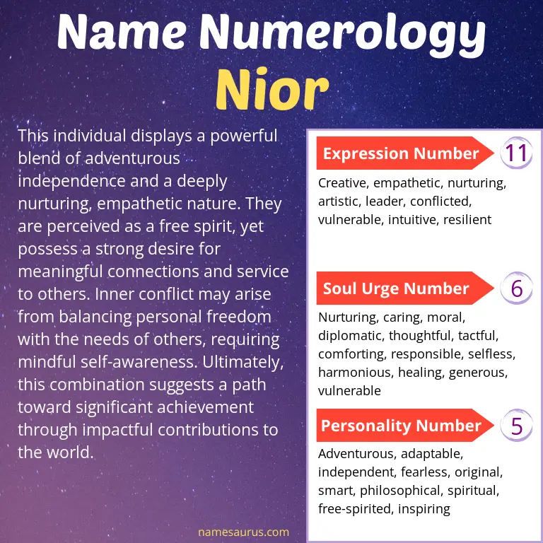 numerology of the name nior.