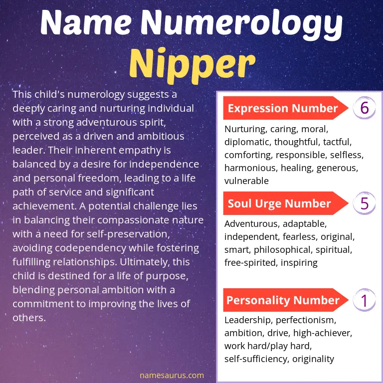 numerology of the name nipper.