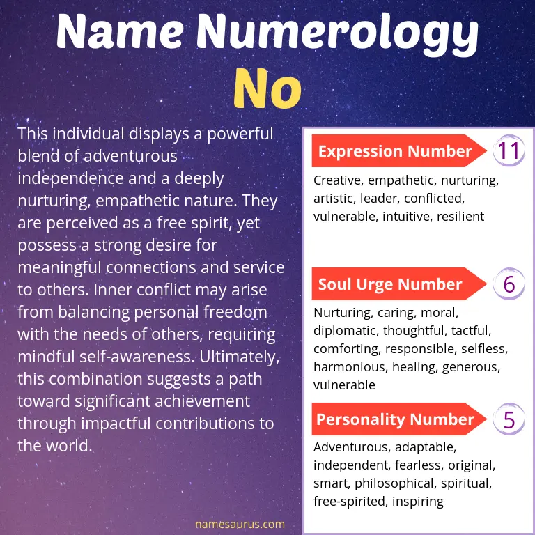 numerology of the name no.