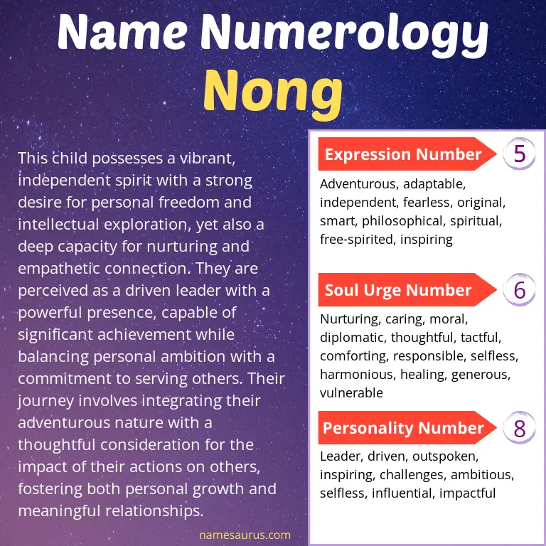 numerology of the name nong.
