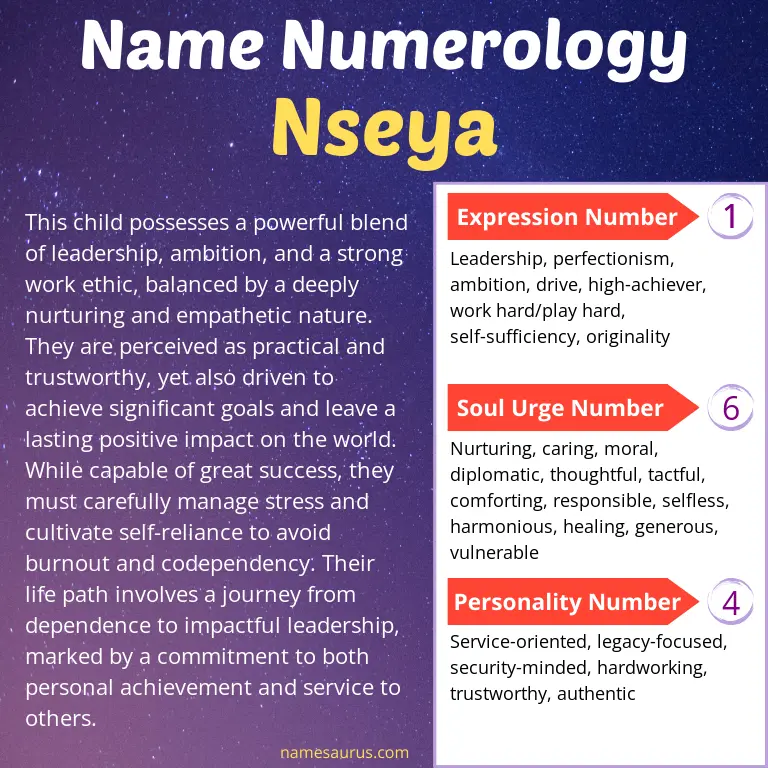 numerology of the name nseya.