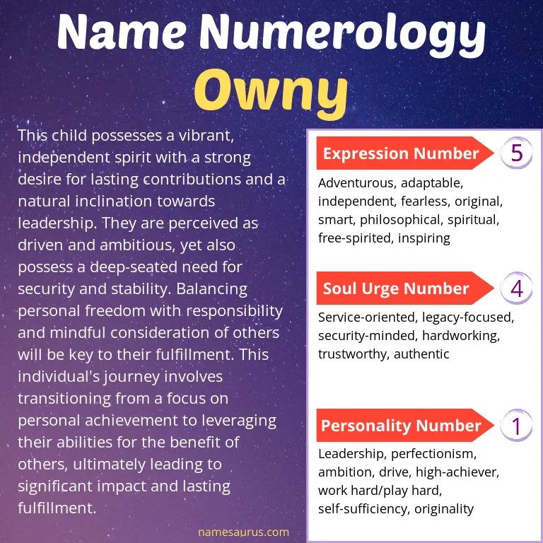 numerology of the name owny.