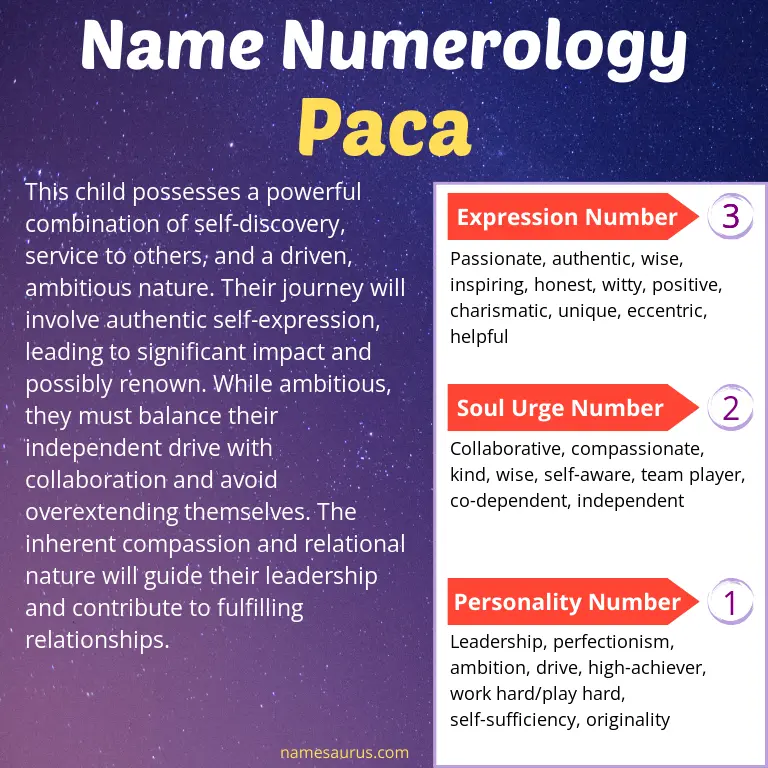 numerology of the name paca.