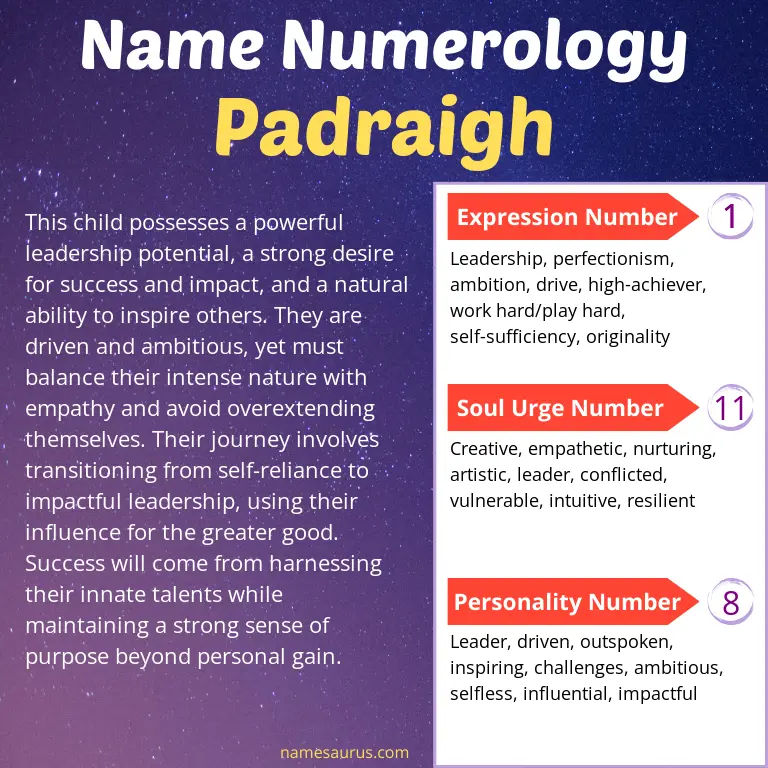 numerology of the name padraigh.