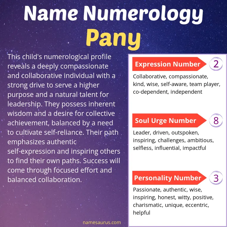 numerology of the name pany.