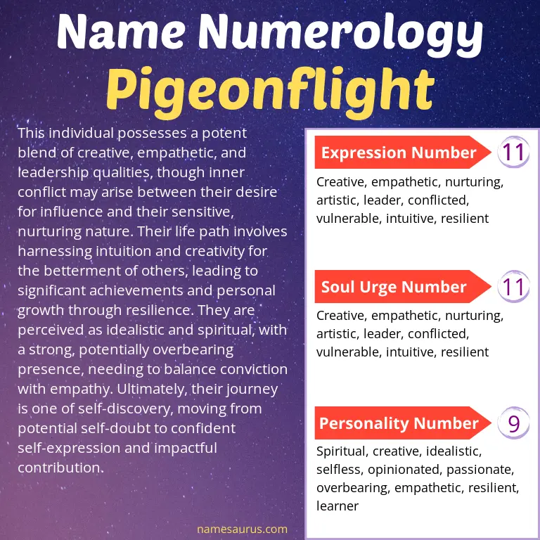 numerology of the name pigeonflight.