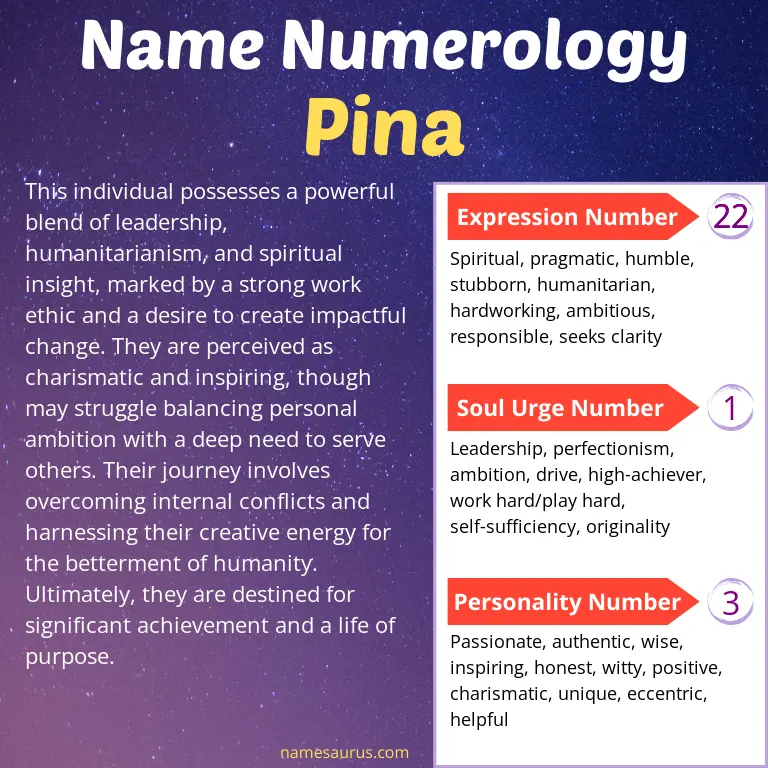 numerology of the name pina.
