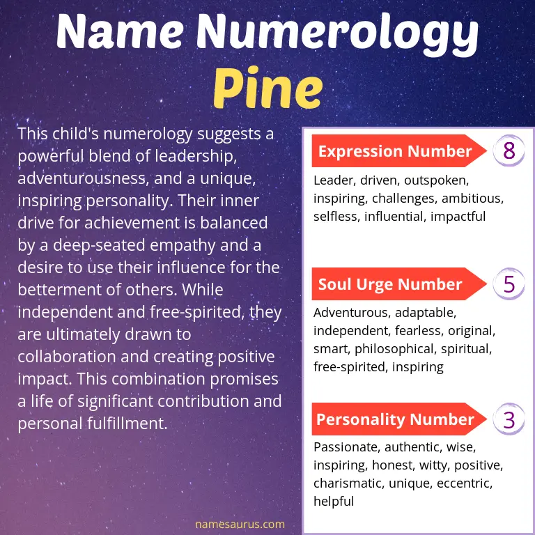 numerology of the name pine.