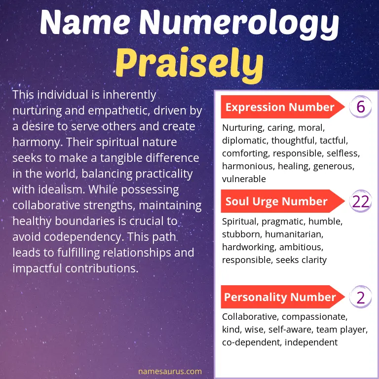 numerology of the name praisely.