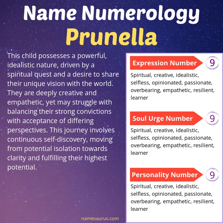 numerology of the name prunella.