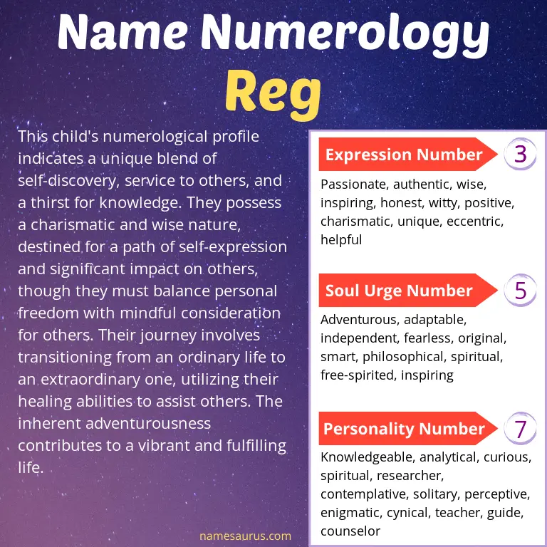numerology of the name reg.