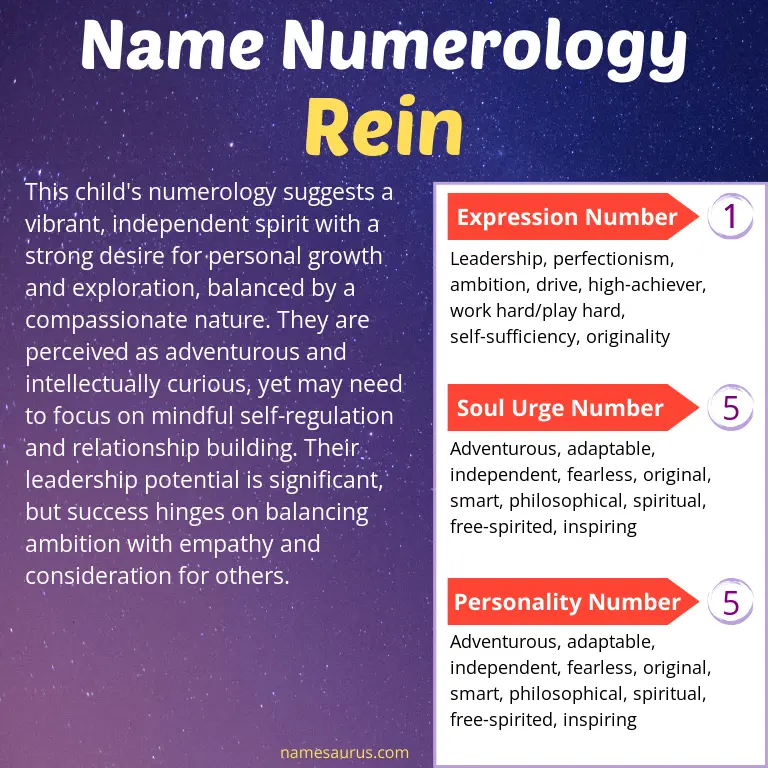 numerology of the name rein.
