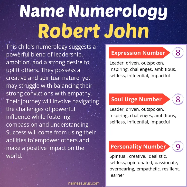 numerology of the name robert john.