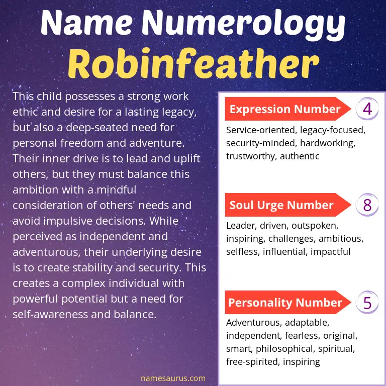 numerology of the name robinfeather.