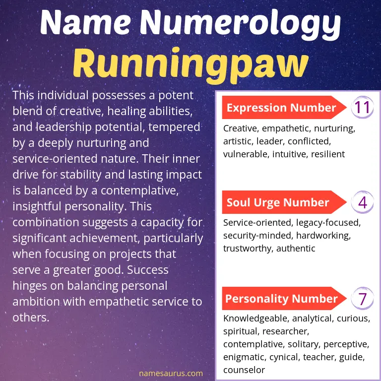 numerology of the name runningpaw.