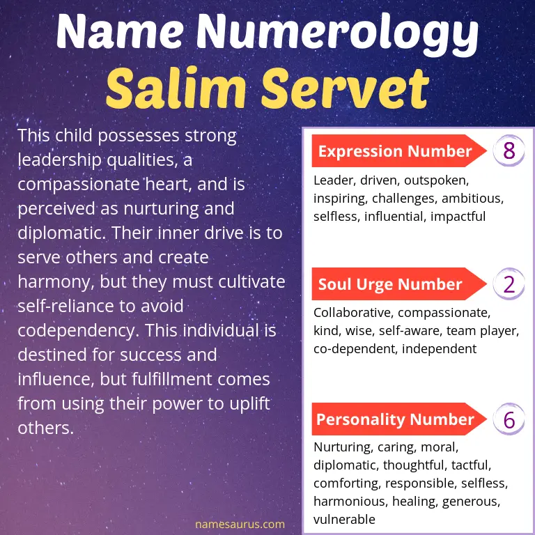 numerology of the name salim servet.