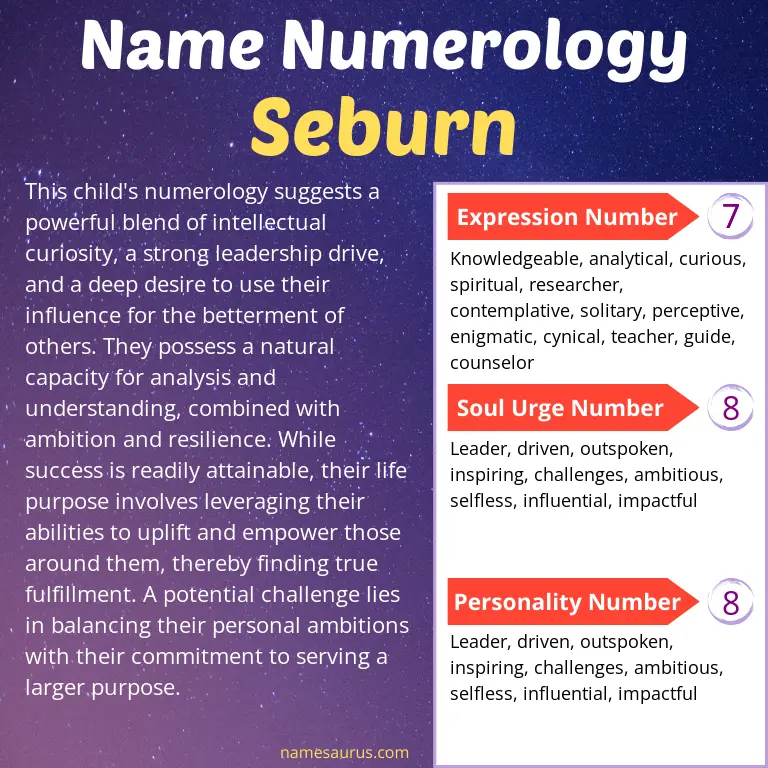 numerology of the name seburn.
