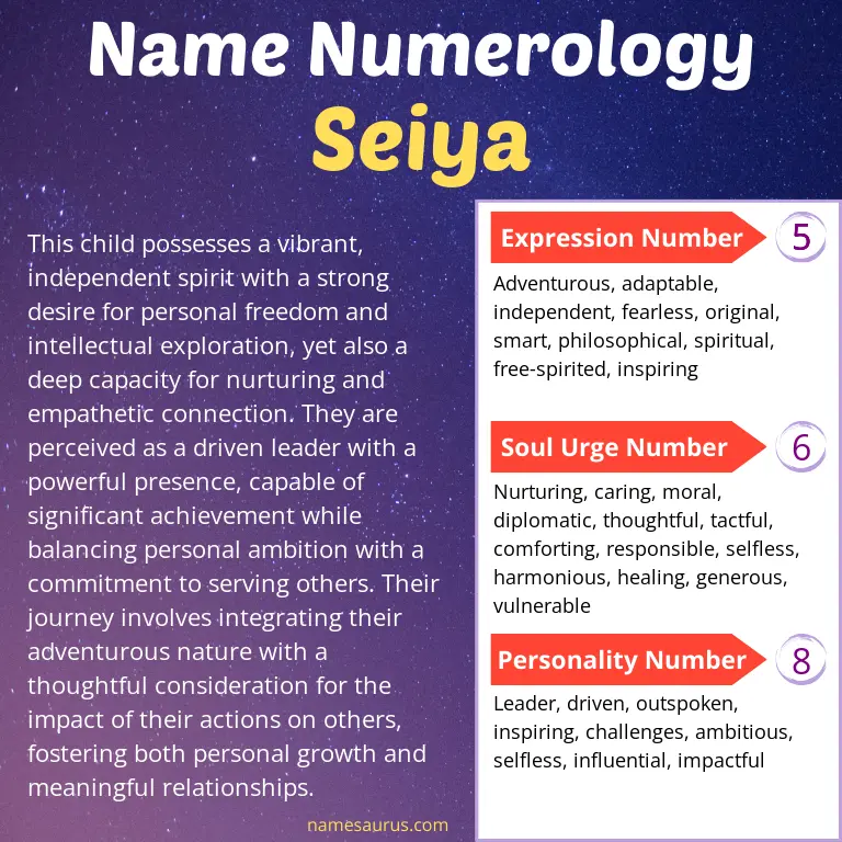 numerology of the name seiya.