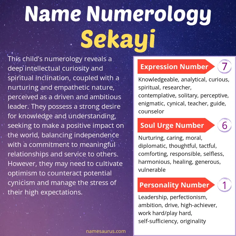 numerology of the name sekayi.