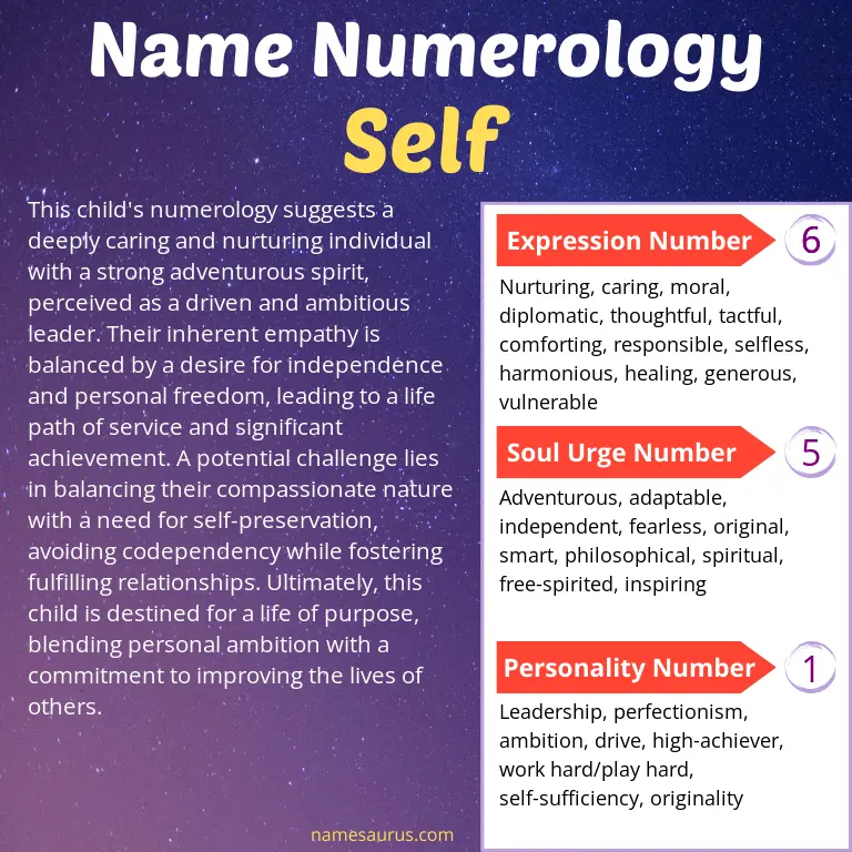 numerology of the name self.